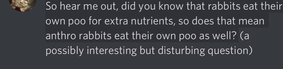 MightyMouse____'s tweet image. AM CONCERN! @FluffBunnie @Rabbit_hug