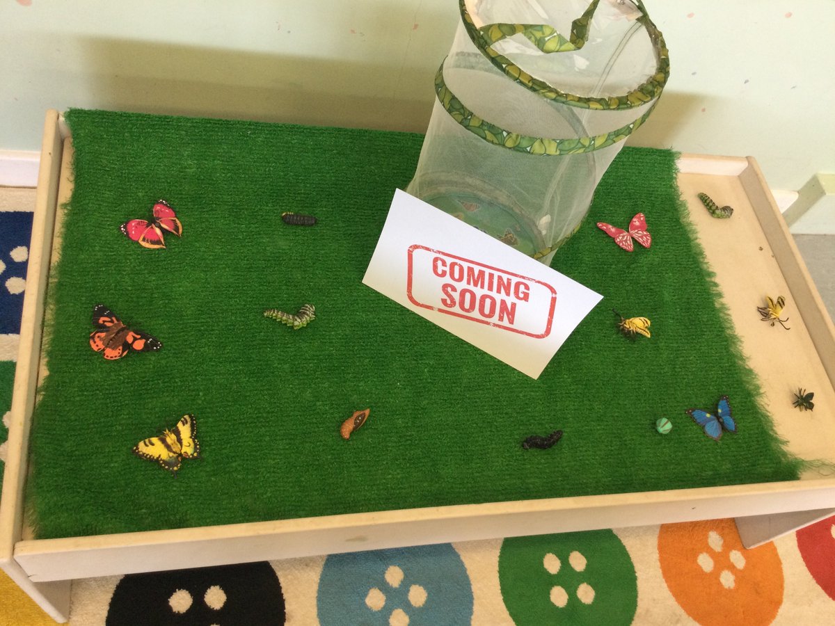 AlburghCE's tweet photo. Excitement is building in #acornsclass as to what might be being delivered soon…. #watchthisspace 🐛 🦋 #eyfs #thenaturalworld #newlife #growing https://t.co/FhAFTXCdBa