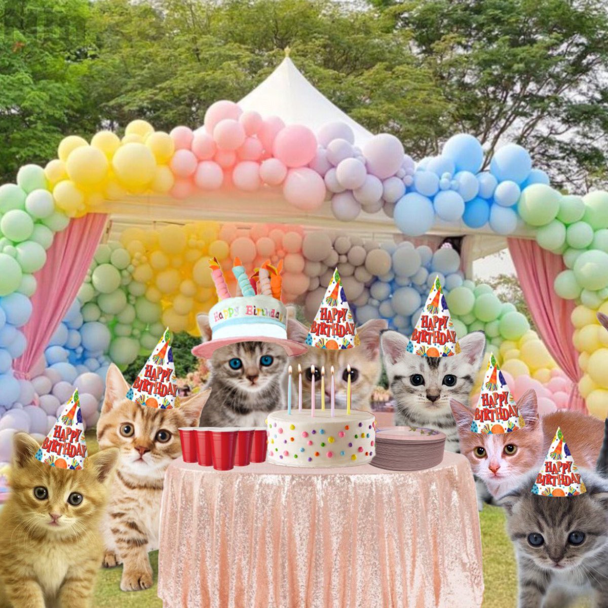 nin 🌸🍉 tweet media