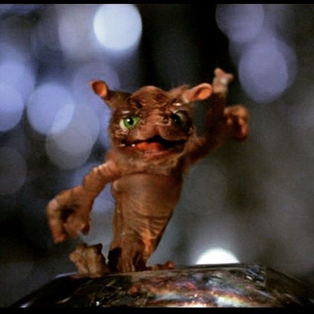 Someone's Favorite Movie tweet media