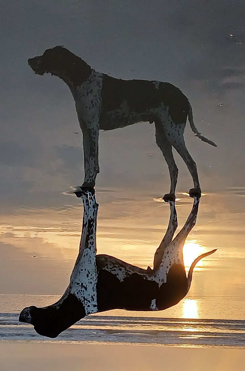 Free Recovery Programme for Sex and Porn Addiction - Module 4 Prt1 - How... youtu.be/fP-XmX2YnSk via <a href="/YouTube/">YouTube</a>