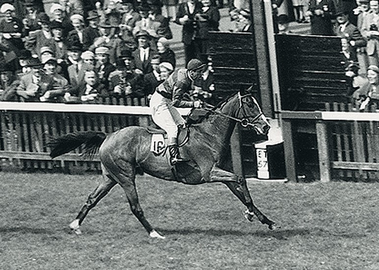 AgaKhanStuds's tweet photo. Two years prior to Petite Etoile, #RoseRoyale won the 1000 Guineas for the Aga Khan III. 

She also won the Prix du Moulin de Longchamp @paris_longchamp before returning to @NewmarketRace to land the Champion Stakes. 

#FlashbackFriday https://t.co/JKwGygv1BI