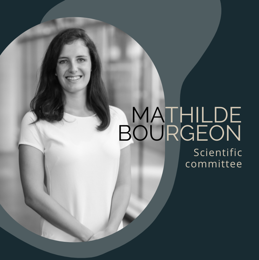 Borders and Border Walls tweet media