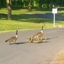 Cont_Interbeing's tweet image. You only have what you give. It’s by spending yourself that you become rich.
— Isabelle Allende
#EncounterDiscoverCreateTransform Friday
Inspiration: zpr.io/FVQvpzsA5iMu