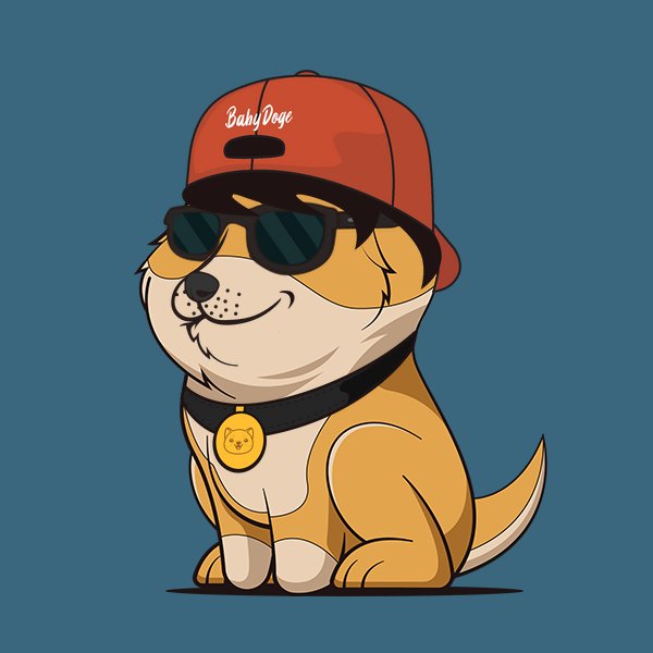 RedSnip9's tweet photo. @BabyDogeNFTs 😎✨ https://t.co/Er9TgS7LtP