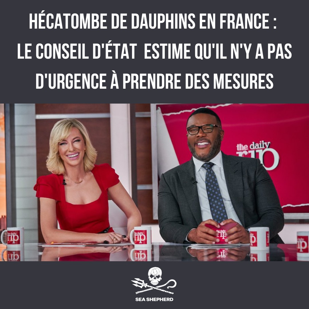 Pour en savoir plus sur l'#OperationDolphinBycatch : seashepherd.fr/operation-dolp…

#DontLookUp