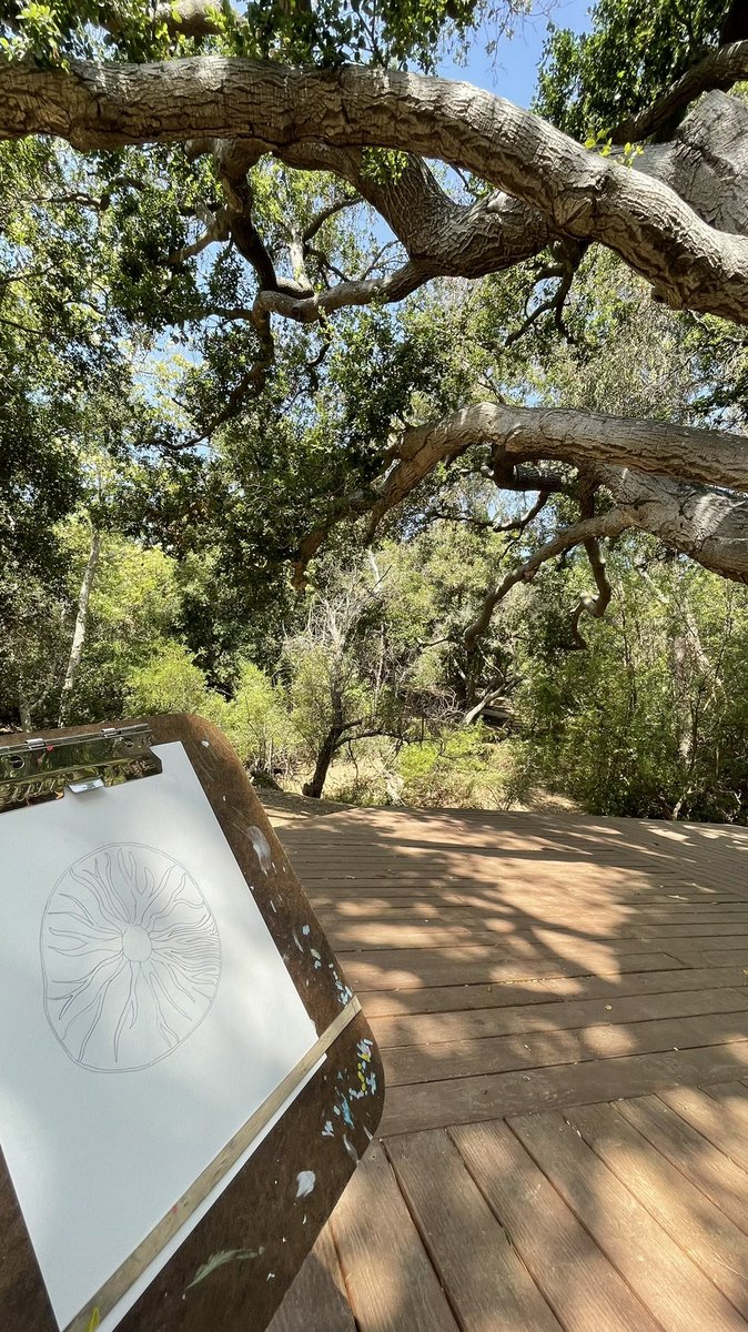 Astro Shrooms tweet media