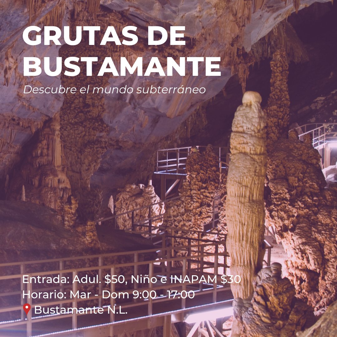 ¡Las Grutas de Bustamante están listas para recibirte! 🤩
Encuéntralas en tu Pasaporte Nuevo León: pasaportenl.app/api/place/154/1

¿Listx para visitarlas? ✌🏽

#AppPNL  #mexicodesconocido #turismoseguro #turismonl #travelmore #turismo #visitmexico