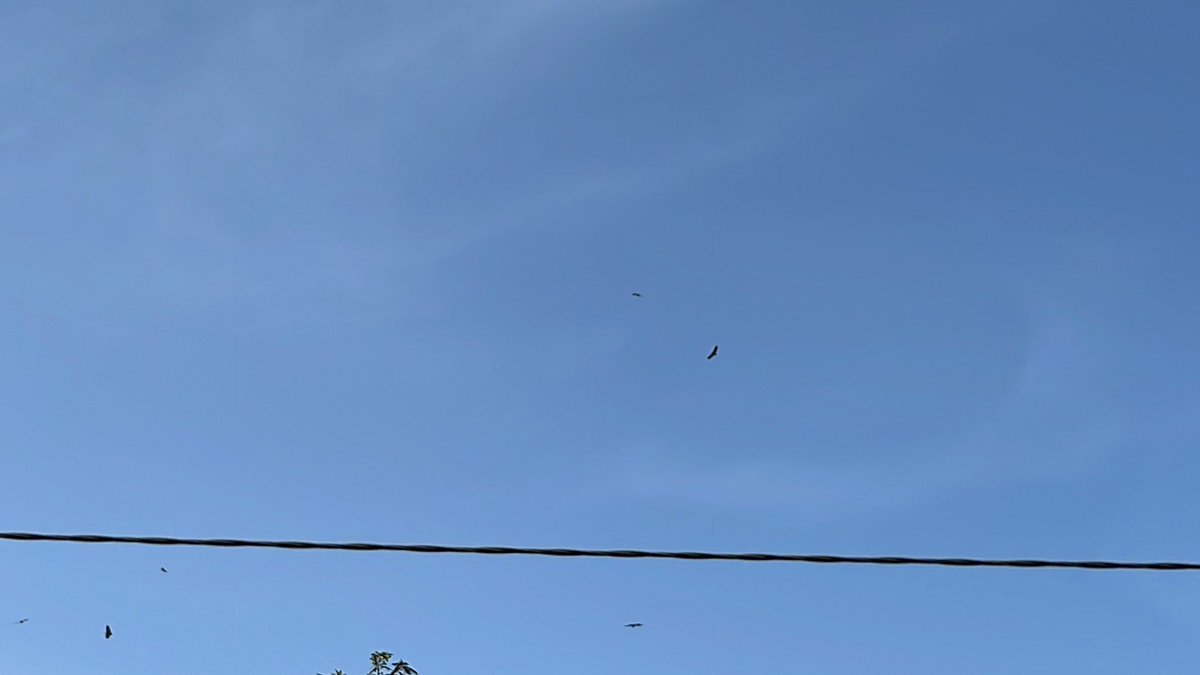 stay_bless (@nfansu51343503) on Twitter photo 