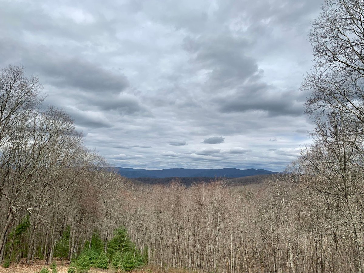 GbrValleyEDC's tweet photo. This weekend check-out Watoga State Park, Calvin Price State Forest and Droop Mountain Battlefield State Park, which offer the best stargazing experiences in the nation.
And take in the Hanging Rock Raptor Observatory on Monroe’s Trail Day - Sunday, May 1. https://t.co/vubMdC6qfv