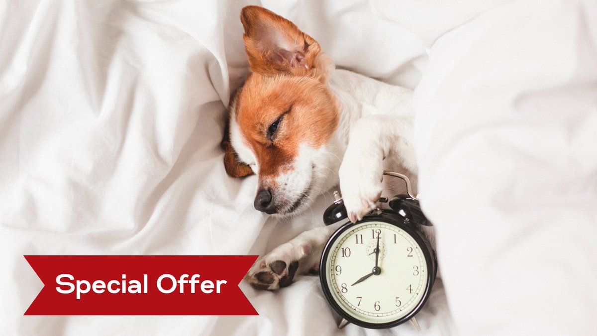 Last chance to take part in our special offer! 

Receive a free mattress cleaning (one side) when you book a carpet 3 or 5 room carpet cleaning package. Offer ends today! 

Visit our website to request a quote. gdihomeservices.com