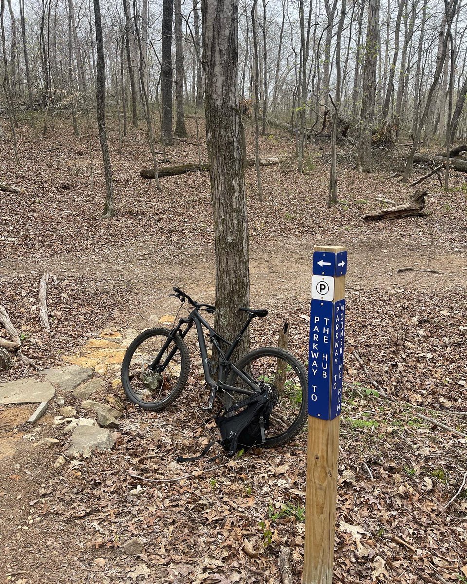 Jay Jackson tweet media