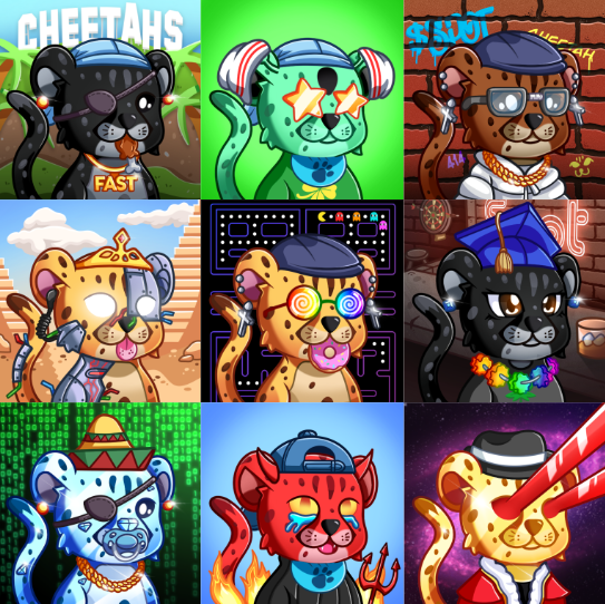 CheetahSOL's tweet photo. BABY CHEETAHS. 

LESS THAN 30 MINUTES 👀

2PM EST. $SPOT MINT BEGINS. ⏰
2:30-2:35PM EST PUBLIC 1 SOL ⏰

WHOS READY? https://t.co/QhckFz8eII