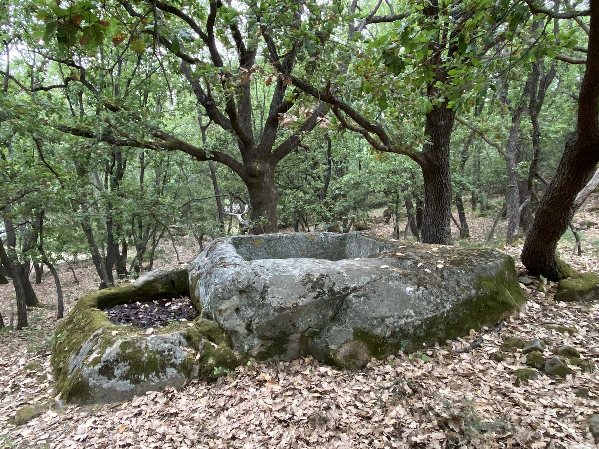 VitaMimmo's tweet photo. I Palmenti sono “ruderi” rupestri di una #agricoltura millenaria praticata fino a 1 secolo fa
Ci ricordano quanto importante e diffusa è stata la viticoltura dalla #Georgia al #Portogallo
Questi, inediti, sono nella #locride, a #Caraffa del Bianco (RC), dove sono diffusissimi https://t.co/dIy4P8KpQK