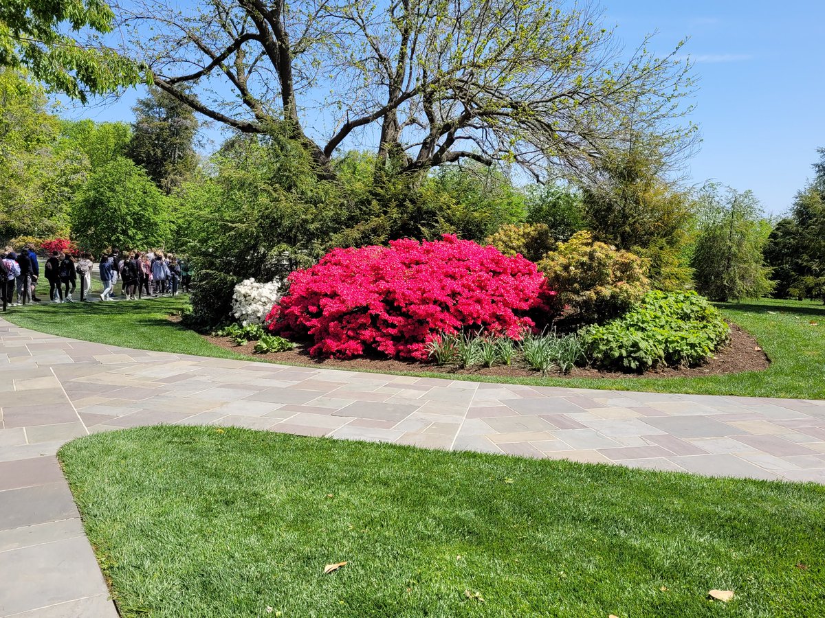 Michelle Madden tweet media