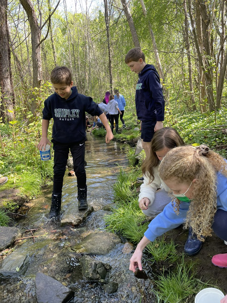 ddelduca tweet media