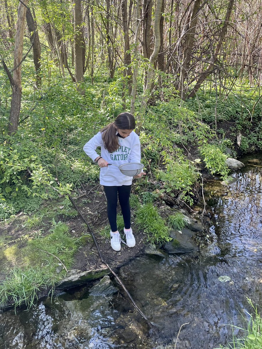 ddelduca tweet media