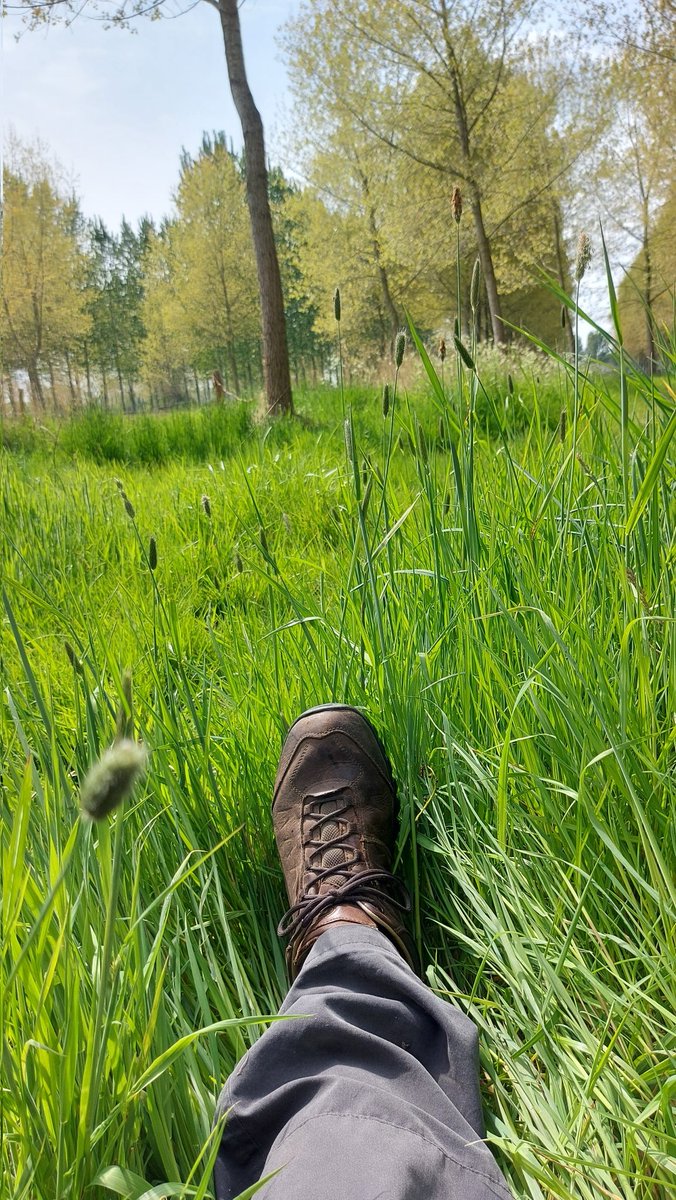 Trage tocht Schijndel. De Koekoek en Specht lieten zich veelvuldig horen. @tragetochten