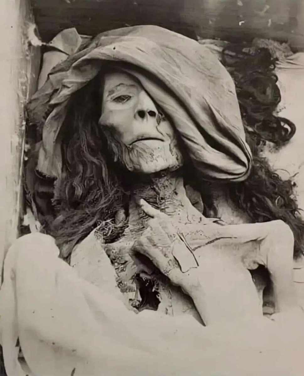 Estás excavando en Egipto y de repente la momia de la reina Tiye, esposa de Amenhotep III y madre de akhenaton, que lleva muerta desde el año 1400 a.C., te dice "Hola"
#arqueología #egipto