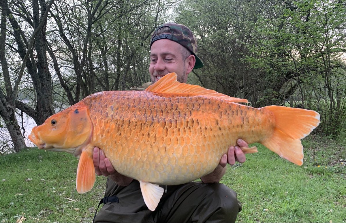 Cherpont Lake (@cherpont_lake) on Twitter photo 