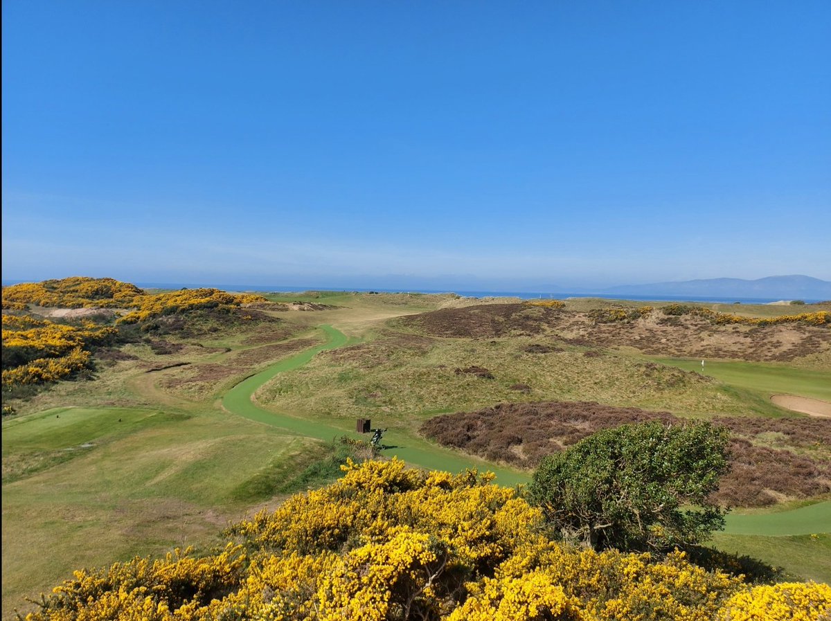 Tom Pattison tweet media