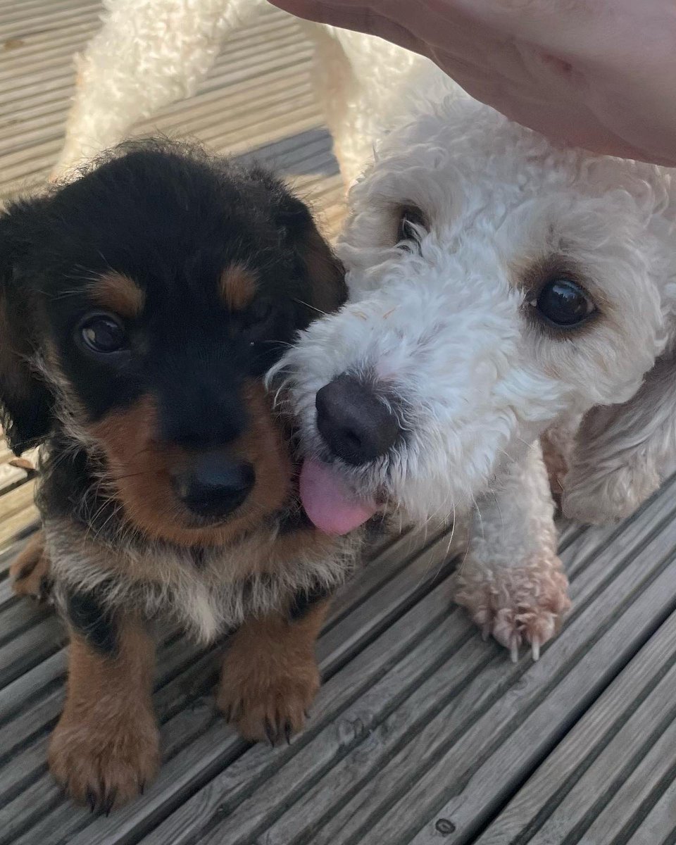 Billie Bailey tweet media