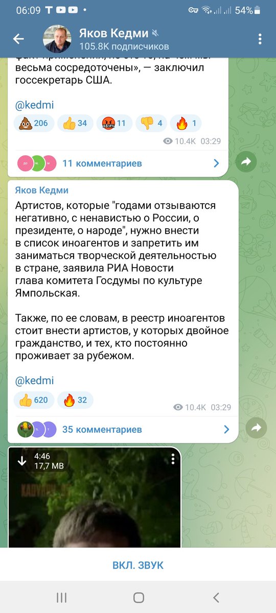 Света Замедянская tweet media