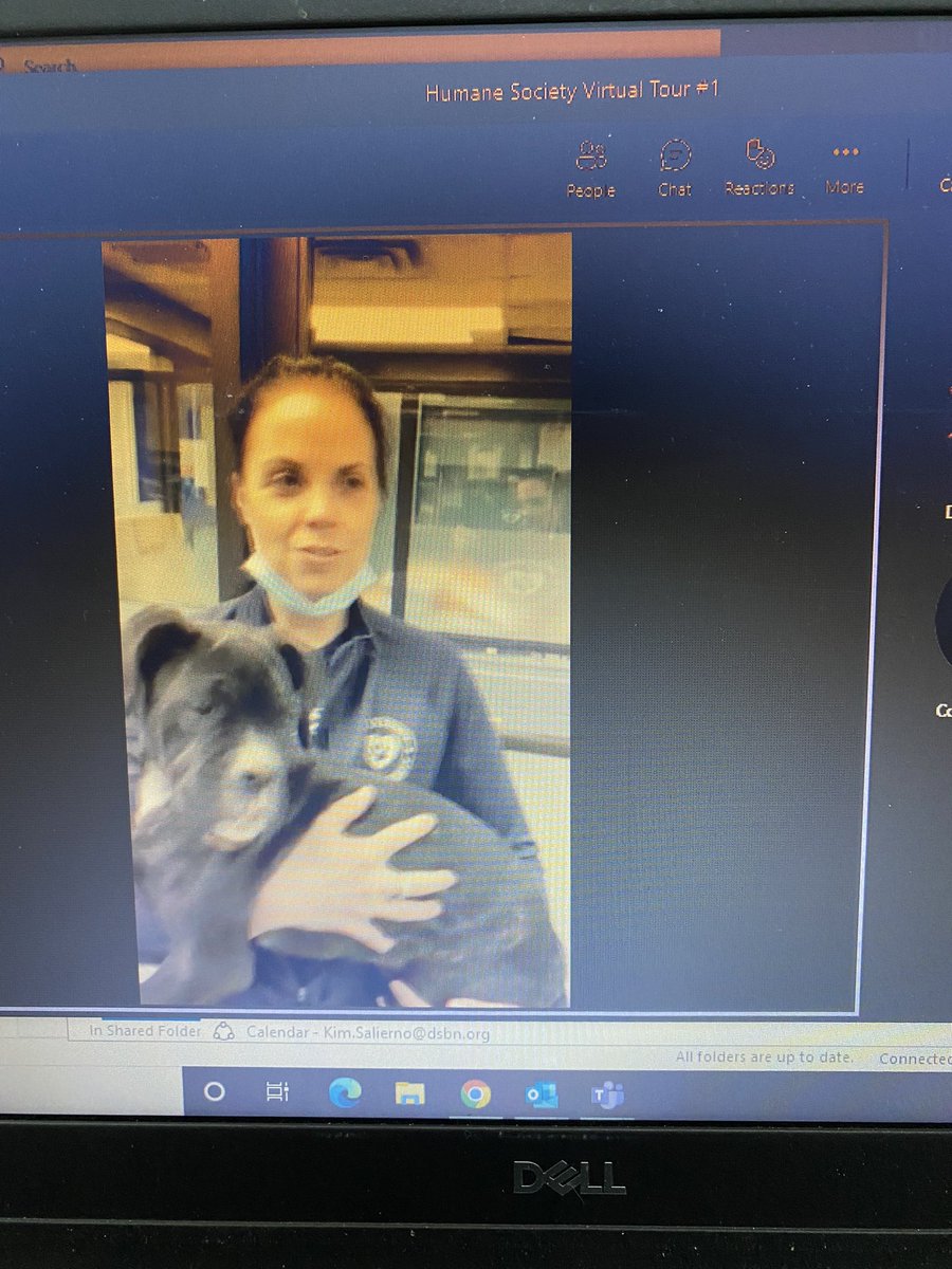 salierk's tweet photo. A small sampling of some of the great workshops at today’s @DSBN Forest of Reading Virtual Celebration. https://t.co/11GH2F0k7F