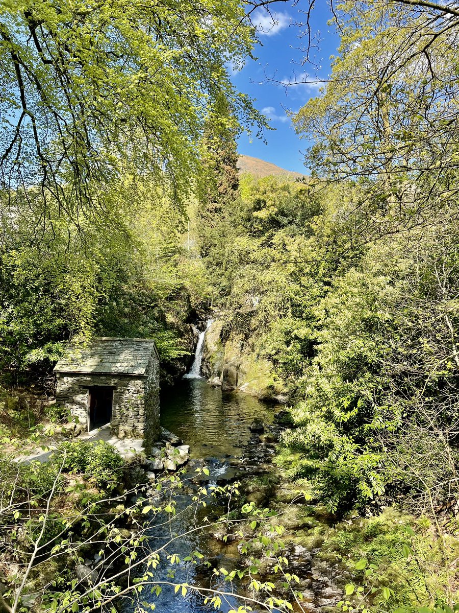 martin_grayston's tweet photo. Happy weekend ☀️☀️ #ambleside #rydalhall #LakeDistrict #BankHolidayWeekend https://t.co/lBHdfKjA9d