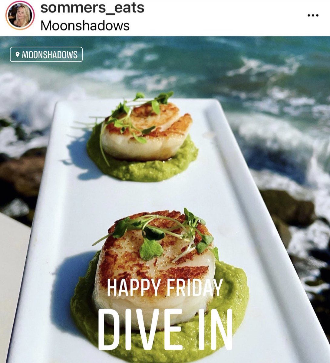 moonshadowspch's tweet photo. Happy Friday. Dive in for lunch at Moonshadows. ##moonshadowstogo #sunsetsupper #alfresco #oceanviewdining #beachfrontpatio #craftcocktails #craftbeer #moonshadowsmalibu #bluelounge #maliburestaurant #sundaybrunch #dinerschoiceaward #losangelesrestaurant #malibu #seafood #romance https://t.co/IfDQpDzqCO