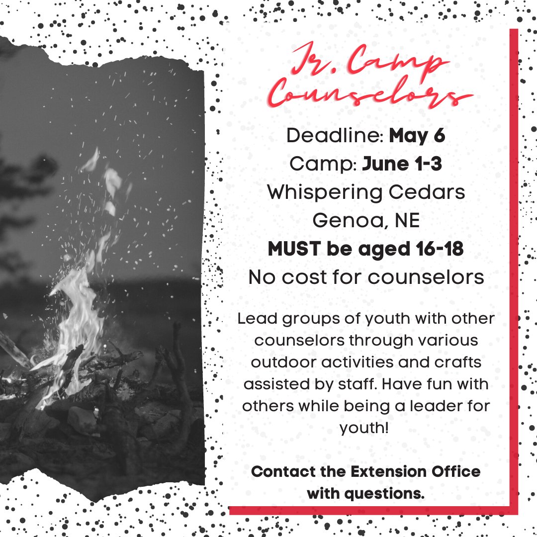 Calling all youth aged 16-18 as of January 1. Join us at Junior Camp in June as a Camp Counselor! Visit extension.unl.edu/statewide/plat… to complete the online enrollment and to print off the form to fill out.