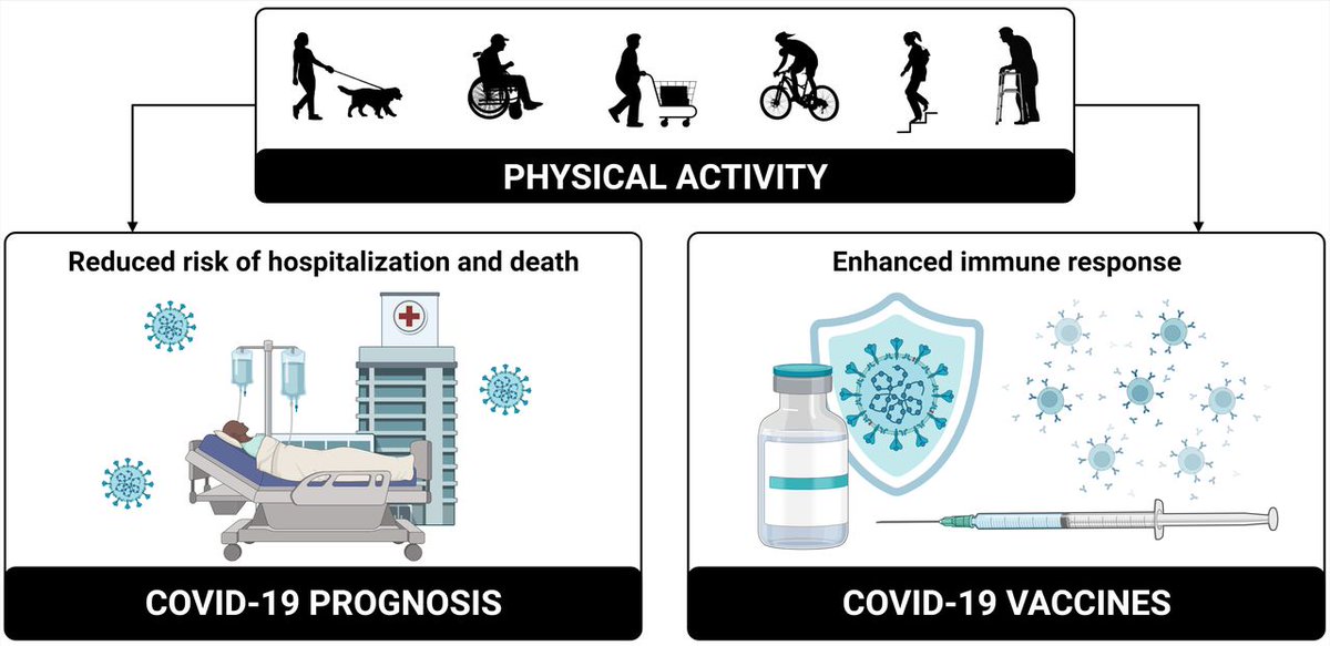 BJSM_BMJ's tweet photo. #OpenAccess: Evidence-based physical activity for COVID-19 🏃‍♀️

What are the outcomes of physical activity and COVID-19 in the general population and hospitalised patients? What should the plan be for the future? 💉

READ HERE ➡️ https://t.co/DgYmnroNge https://t.co/DcyTPvxo1u
