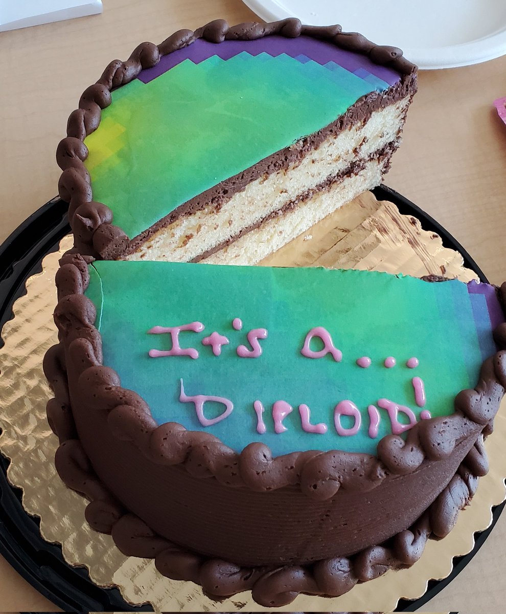 My hilarious and talented graduate students Cooper Kimball-Rhines and Alice Palmer made a Salicornia depressa ploidy reveal cake! Layers = N complement, with the sequence smudge plot printed on top. 🤩🥳🤩
