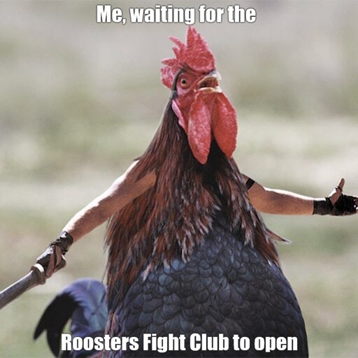 Cockaaadoodle-doo friends!

We are going to organize a chicken/roosters/poultry #Memes contest!
Best meme will win 1 WL and  people who participate will be rewarded with specific role that will allow surprises in the future!
#P2E #NFT #MATIC

Meme it : discord.com/channels/95040…