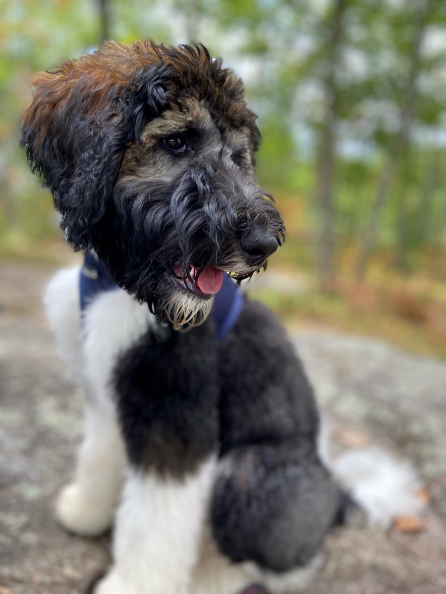 NewEnglandConstruction tweet media