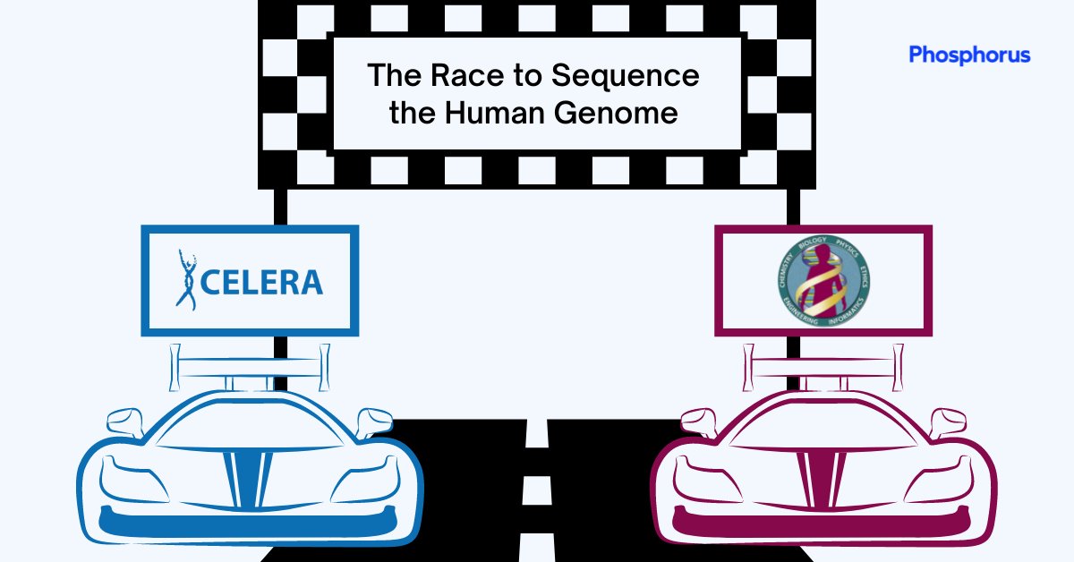Phosphorus tweet media