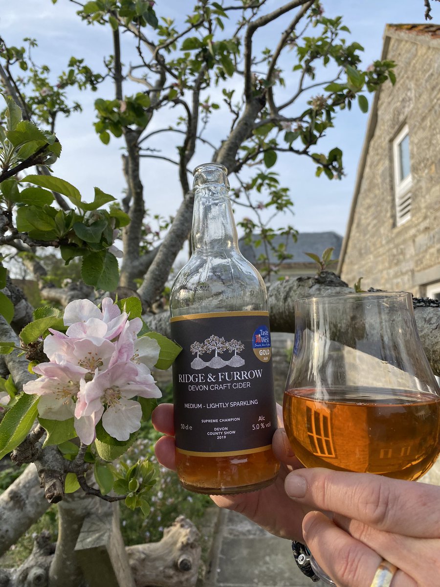 Elston & Son (@elstonandson) on Twitter photo It's a beautiful Friday in the #WestCountry! Apple trees are blossoming 🌸 & we're toasting their return with a <a href="/FurrowCider/">Ridge & Furrow Cider</a> Medium Cider🍻
Named for medieval orchard irrigation, all their #cider is (worryingly) easy to drink!
bit.ly/EandS-RF_Mediu…
Cheers!
#devoncider It's a beautiful Friday in the #WestCountry! Apple trees are blossoming 🌸 & we're toasting their return with a <a href="/FurrowCider/">Ridge & Furrow Cider</a> Medium Cider🍻
Named for medieval orchard irrigation, all their #cider is (worryingly) easy to drink!
bit.ly/EandS-RF_Mediu…
Cheers!
#devoncider