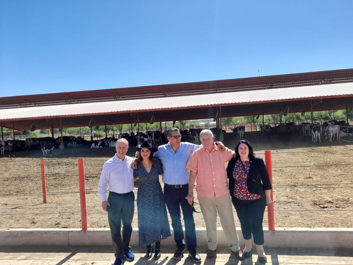 FIL_IDF's tweet photo. IDF Director General, Caroline Emond, enjoyed the visit to La Luna Farm and Granja Madero in the La Laguna region in Mexico, where impressive technology and innovation are applied both to production and animal welfare.
@EmondCa #dairy #dairyscienceandtechnology https://t.co/lDVG7zPcLN
