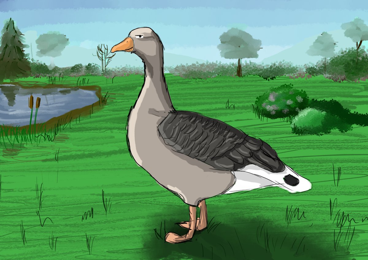 macdonald663's tweet photo. more characters created digitally, still playing around with them.

#digitalart #art #cartoons #animals #pets #drawing #sketch #illustrations #rabbit #goose #artist #robot #cartoon #digital #painter #digitalpainting https://t.co/dsvKU4uW2K