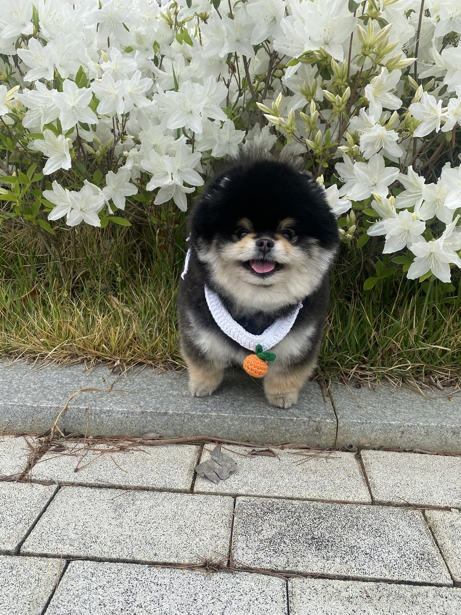 jiniaebi's tweet photo. https://t.co/GqoxtQdBB1