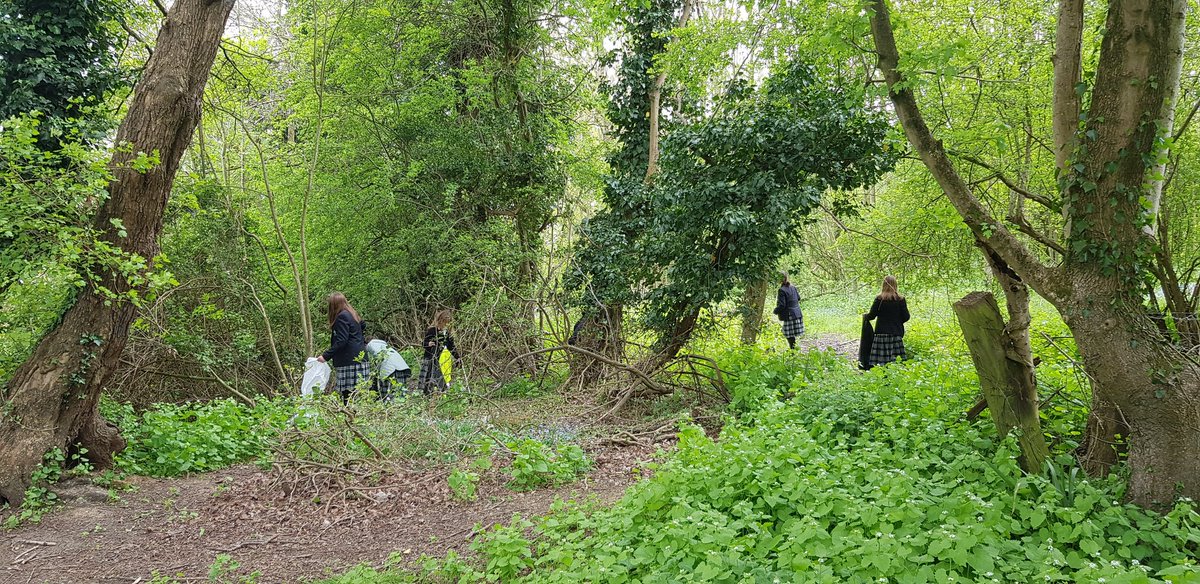 In honor of Earth Day, Eco-Team are out today collecting rubbish from around Epping! 🌍
#EarthDay2022