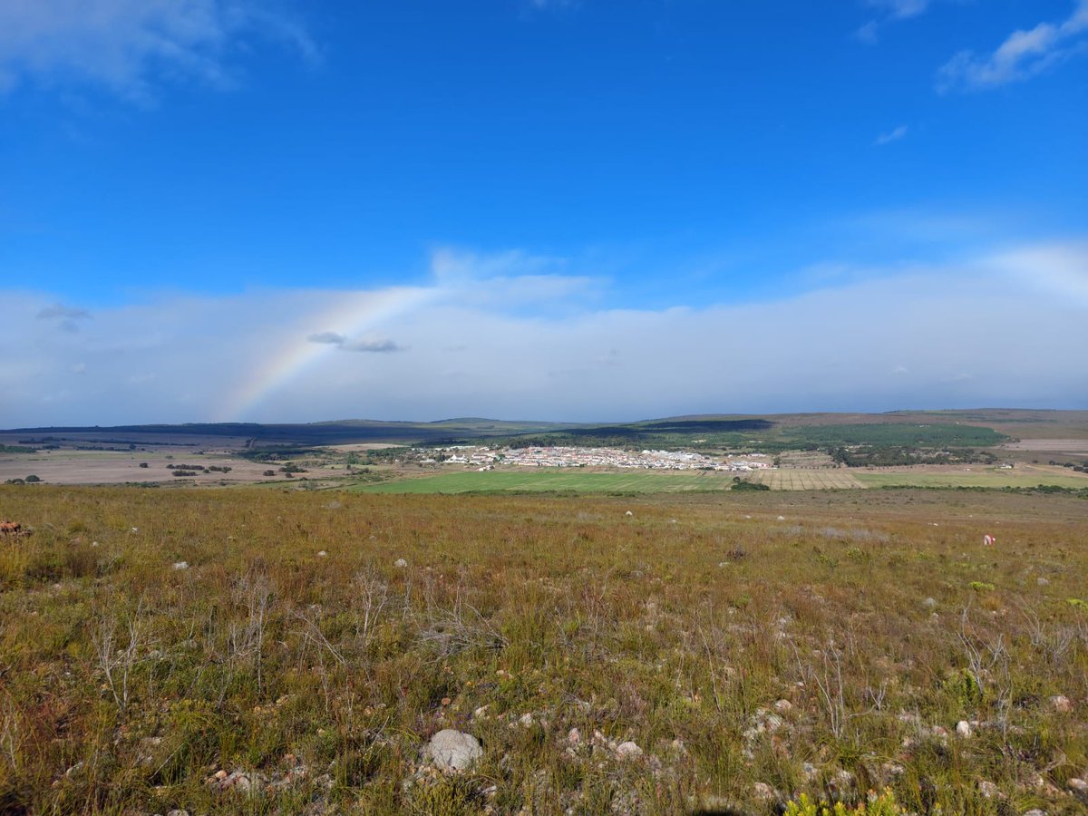 BotsocSOverb's tweet photo. The #CityNatureChallenge is ON THE GO! And we've had our first few events in the Southern Overberg already, including a walk through the Elim Geelkop Nature Reserve, to log all the Elim Ferricrete Fynbos species we could find. https://t.co/uezF7BxK3u