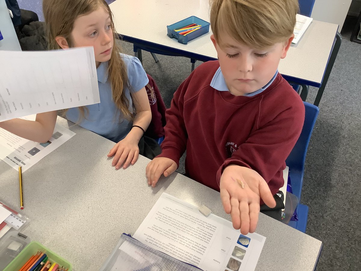 HolyInfantsRCP's tweet photo. Today in Science, Year 3 have become fossil detectives. We looked at fossils and categorised them by: ammonites, fossilised coral, fossilised plants, dinosaur remains and clams and oysters. #snapscience #fossils https://t.co/qaprH5PJhF