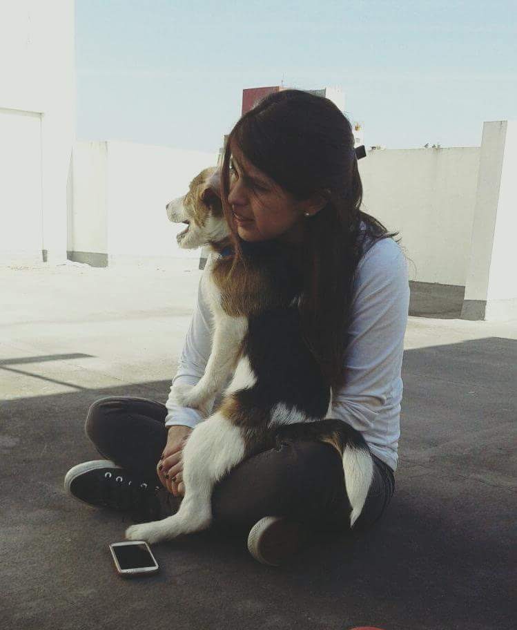 Judis6's tweet photo. Feliz día mis chanchitos con colas #DiaDelAnimal #Jimbo (besitos al cielo) #Giuse #Michina ❤❤❤ https://t.co/FxbN8KH7K4
