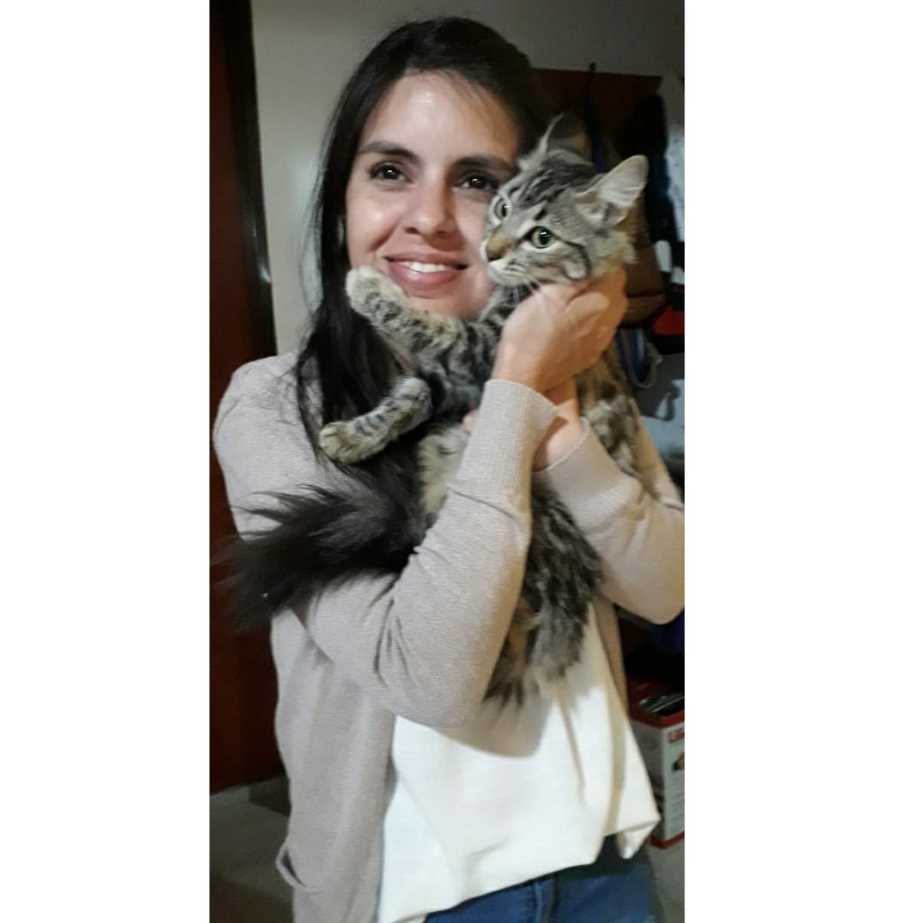 Judis6's tweet photo. Feliz día mis chanchitos con colas #DiaDelAnimal #Jimbo (besitos al cielo) #Giuse #Michina ❤❤❤ https://t.co/FxbN8KH7K4
