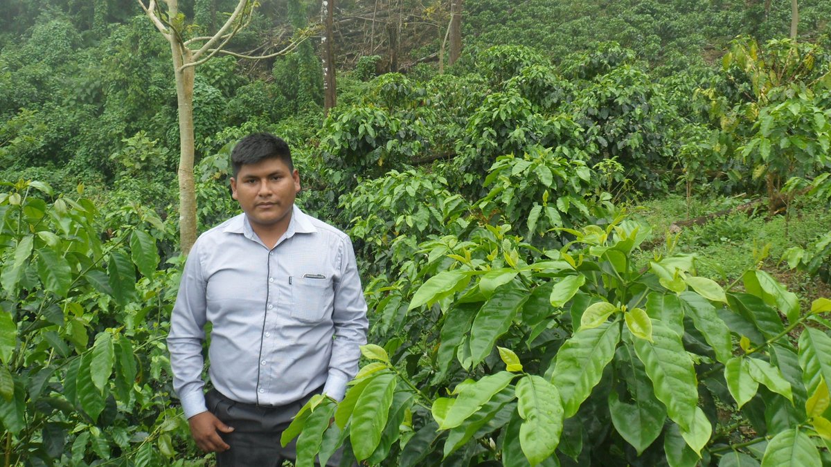 Higher Grounds Coffee tweet media