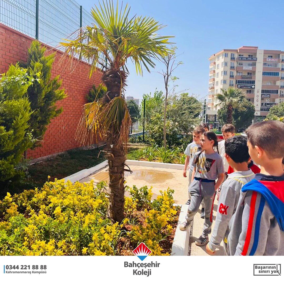 bahcesehirmaras's tweet photo. 1. sınıf öğrencilerimizle “Yakın Çevremizdeki Bitkiler” konusunu bitki çeşitliliği çok olan kampüs bahçemizde inceleyerek işledik.

🌱🪴🌿🌸

#KahramanmaraşBahçeşehirKoleji

@osmandingis @mehmetsanalocak @bahcesehir_k12 https://t.co/sVQz7g8WjX