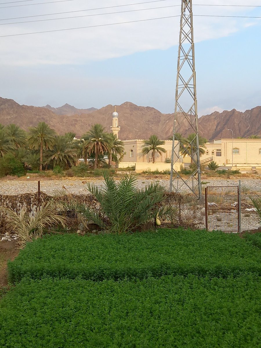 اللهم اعتق رقابنا من النار.  
#اخدود_الصواعق