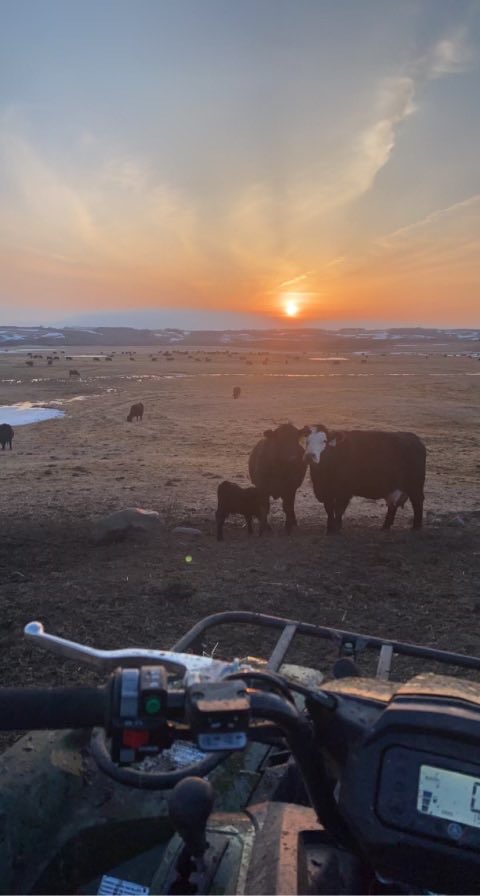 Bruce Curle tweet media