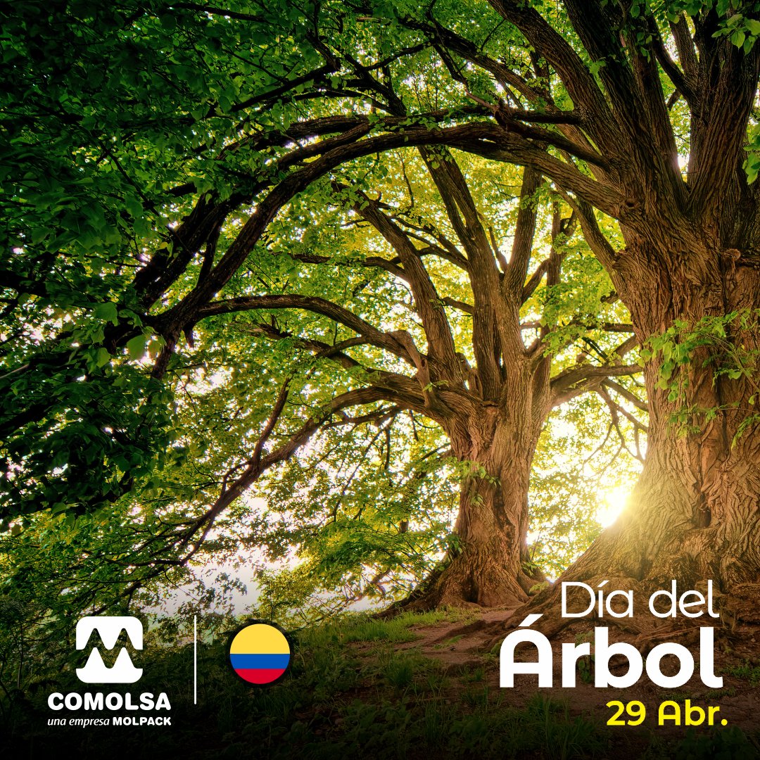 MolpackCorp's tweet photo. El #DíadelÁrbol se celebra hoy en #Colombia para concientizarnos sobre proteger las áreas arboladas y para plantar árboles con el fin de frenar los efectos del cambio climático y la tala indiscriminada.
#NoContamines #Recicla
#CompraPulpaSinCulpa #COMOLSA #MolpackCorporation https://t.co/ErbIlpzDxg
